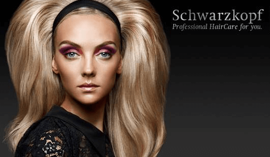 SCHWARZKOPF PRODUCT REVIEWS: PRODUCTS APT FOR INDIAN HAIR TYPE