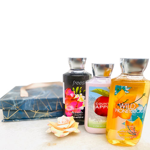 Bath and body works 2025 lotion and perfume set