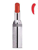 Chambor Rouge Plum+ Lipstick